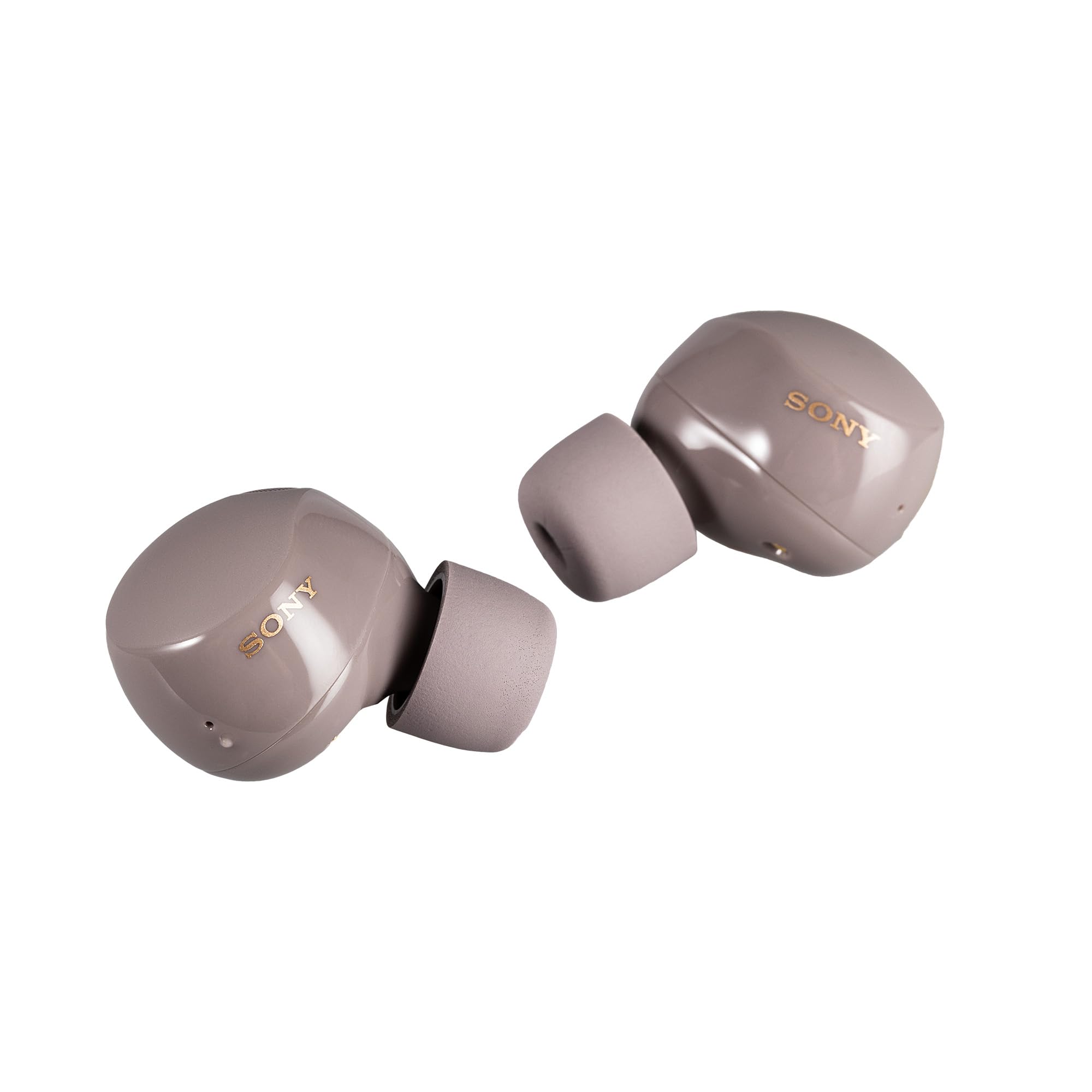Amazon.com: Sony WF-1000XM5 True Wireless Noise Canceling Earbuds